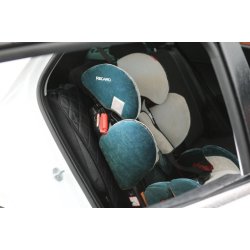 Sdebeskytter, Model Caro i eco-lder