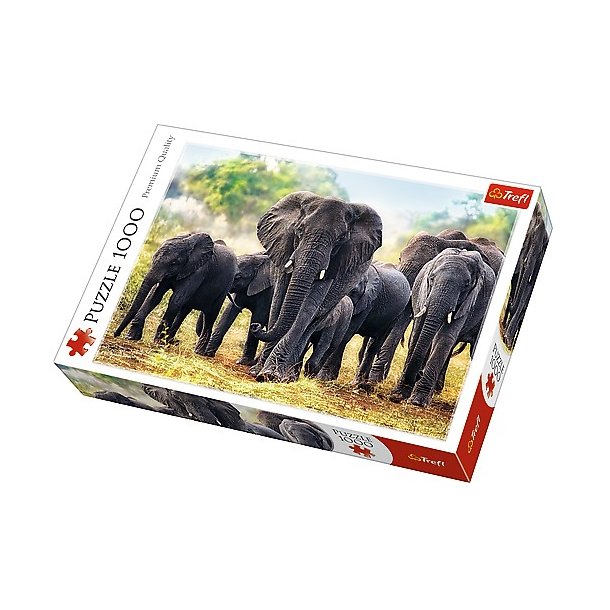 African Elephants