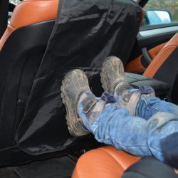 Ryglnbeskytter, Sort